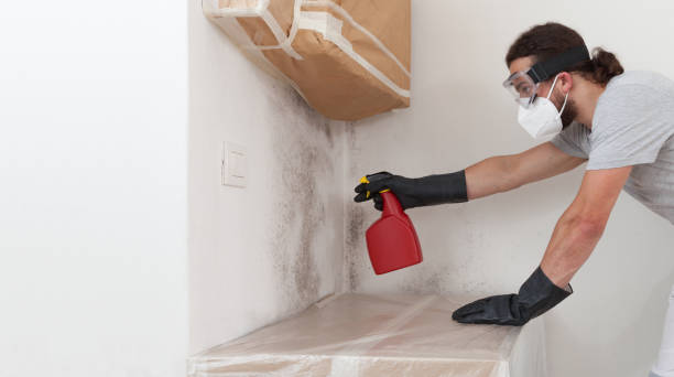 Professional Bathroom Mold Removal technician working in Princeton, TX